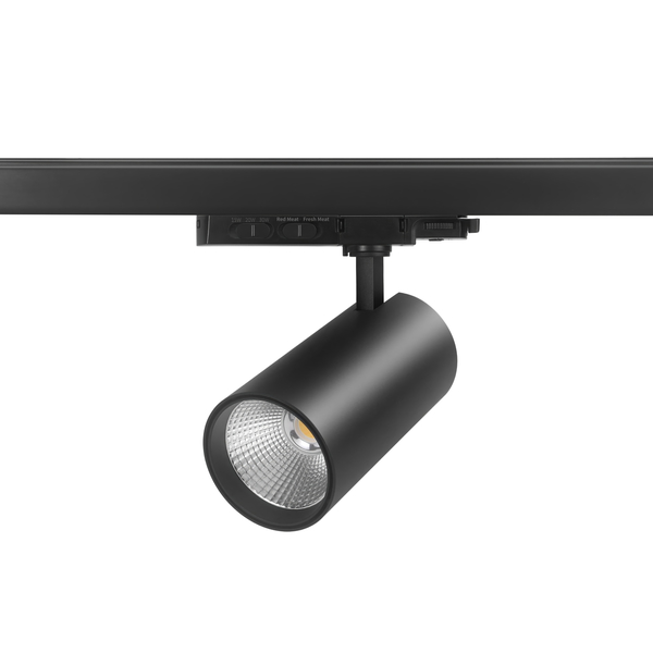 LED FOOD Spot Dual-Color f�r Fleisch 15/20/30W schwarz 36�