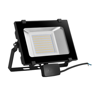 50W LED Auenstrahler mit Bewegungsmelder D6 Serie Warmwei 3000K